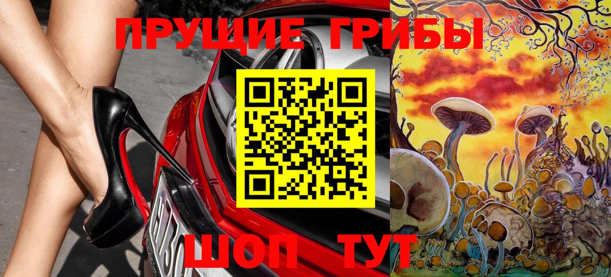 Псилоцибиновые грибы Psilocybe Югорск